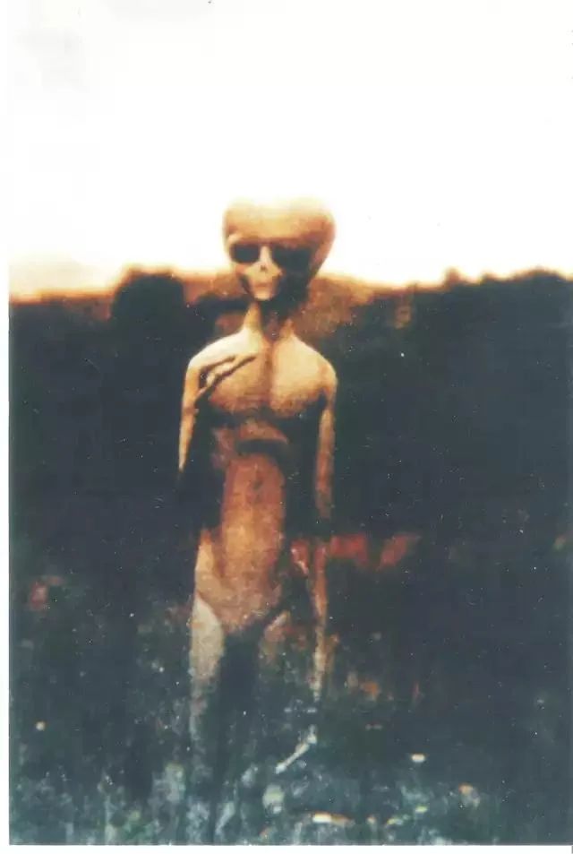 Suposta fotografia de ser não identificado em campo
