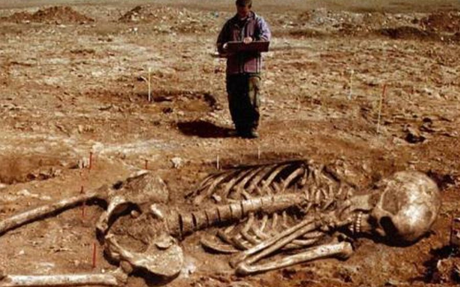 Suposta escavação de esqueleto gigante