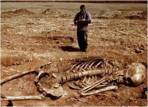 Esqueleto de estatura anormal exposto em museu